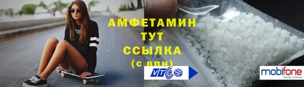 сатива Иннополис