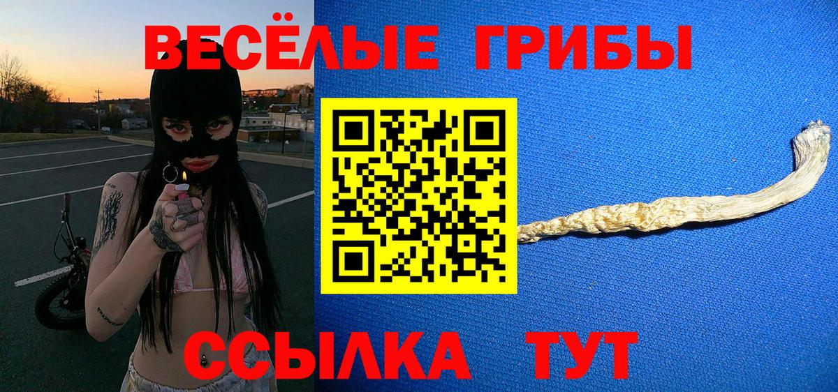 Псилоцибиновые грибы прущие грибы Нарьян-Мар