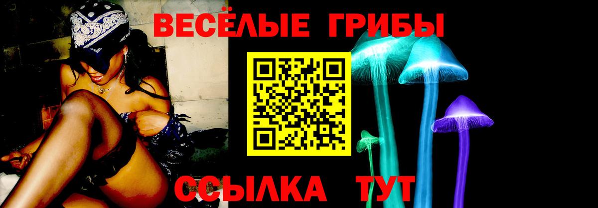 Нарьян-Мар  Галлюциногенные грибы GOLDEN TEACHER  Вход с VPN 